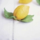 Amalfi lemons on a white tablecloth